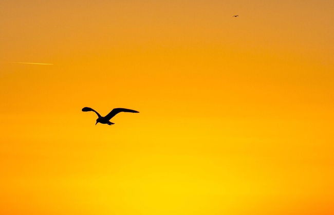Villa ata Razanac - Nice Apartment by the sea - Foto 11
