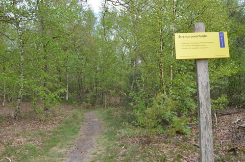 Photo 54 - Tranquil Holiday Home in Limburg Amid a Forest