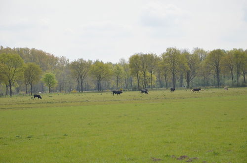 Photo 63 - Tranquil Holiday Home in Limburg Amid a Forest