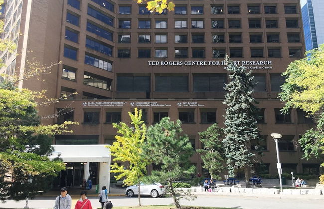 City View High Floor Bay & Gerrard Pet Friendly Condo Walk to Sick Kids Hospital - Photo 30