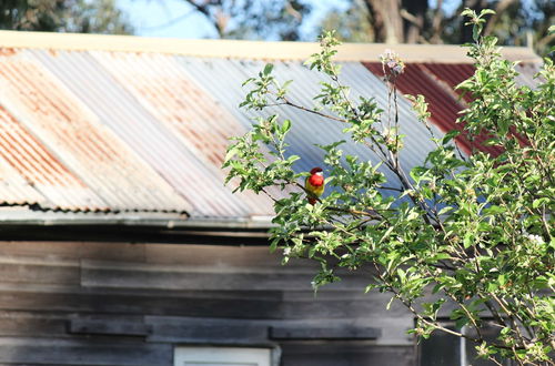 Foto 64 - Woodlane Cottages