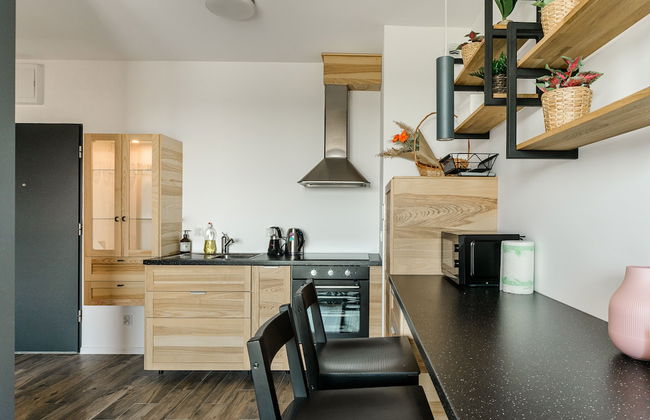 Lumina apartment on Drewnowska - Foto 24