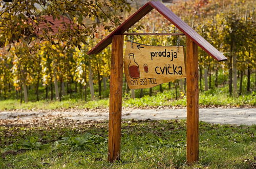 Foto 9 - Vineyard cottage Ucman