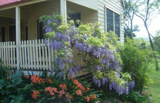 Hermitage Cottage - Foto 19