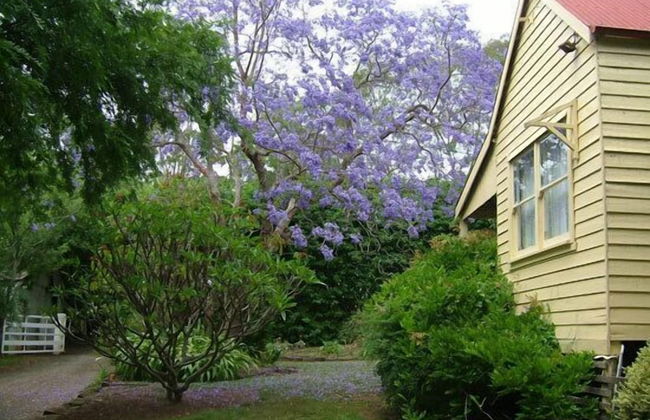 Hermitage Cottage - Foto 13
