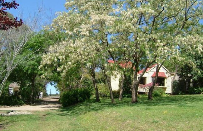 Hermitage Cottage - Foto 14