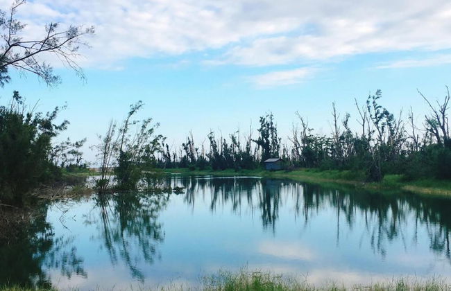 CHLOECHEN-Home - Photo 16