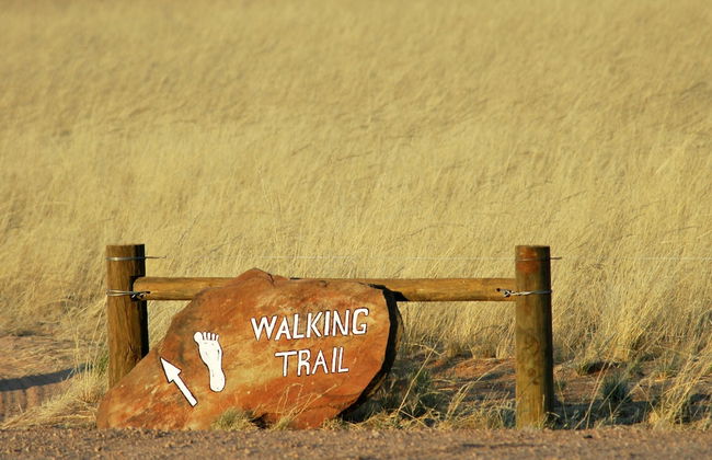 Desert Camp - Foto 31