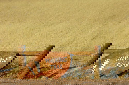Photo 31 - Desert Camp