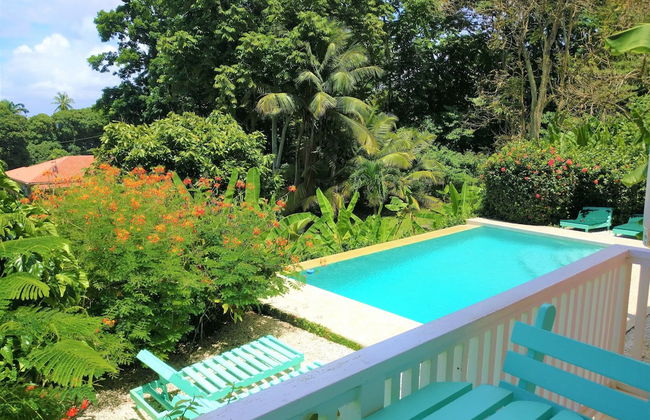 Tobago Hibiscus Villas and Apartments - Foto 32