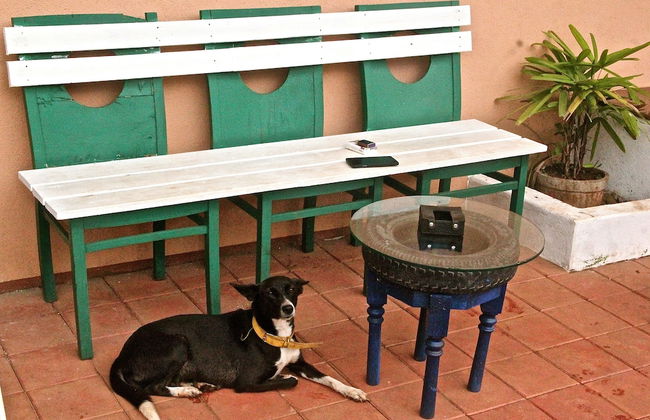 The Assagao House Luxury Villa - Foto 62