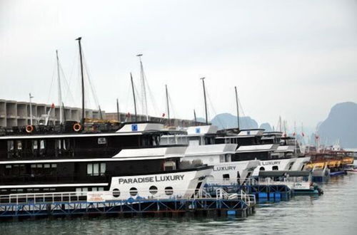 Photo 66 - Seabreeze Ha Long Bay