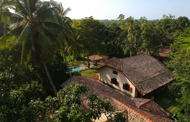 The Mugatiya - Foto 42