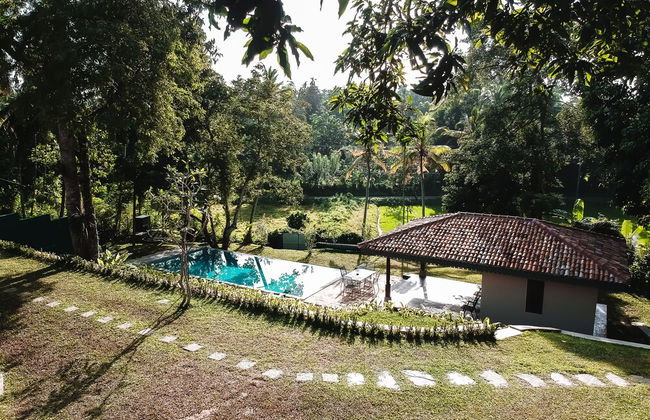 The Mugatiya - Foto 24