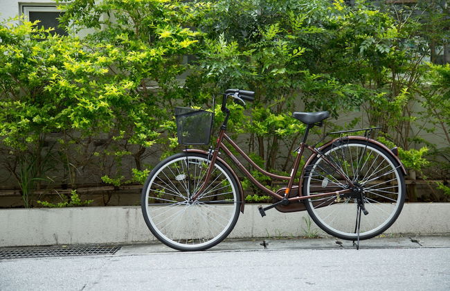 Condominio Makishi Annesso - Photo 25
