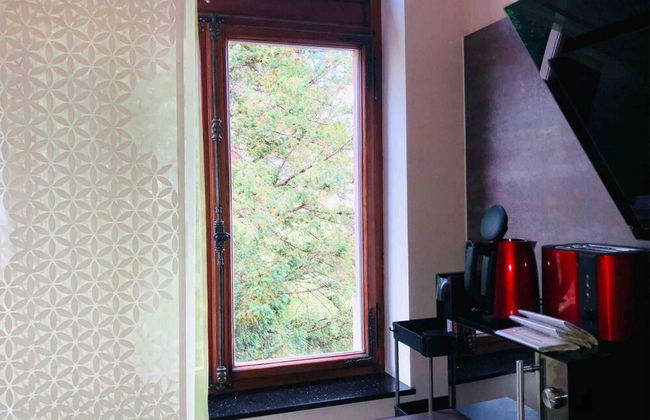 Inviting 3-bed Villa Apartment in Bad Kreuznach - Photo 33