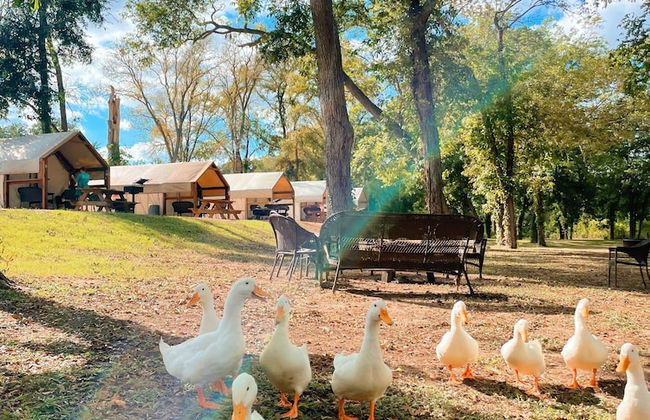 Son's Blue River Camp Glamping Cabin U - Foto 1