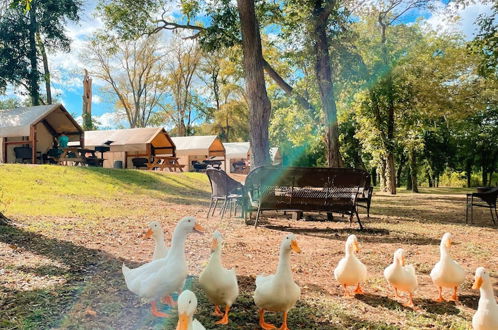 Foto 1 - Son's Blue River Camp Glamping Cabin U