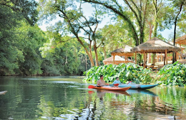 1 Son's Rio Cibolo - Birdhouse Cabin - Foto 58