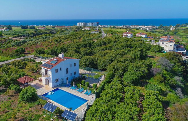Villa Leda Finiki in Latchi - Foto 13