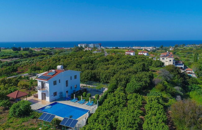 Villa Leda Finiki in Latchi - Foto 27