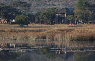 Photo 2 - Ezemvelo Nature Reserve