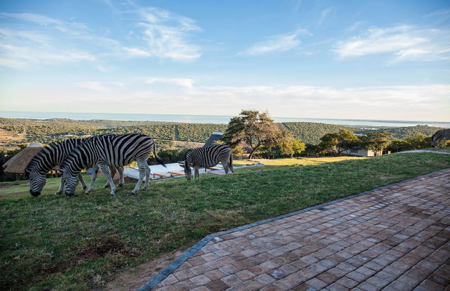 JBay Zebra Lodge - Foto 76