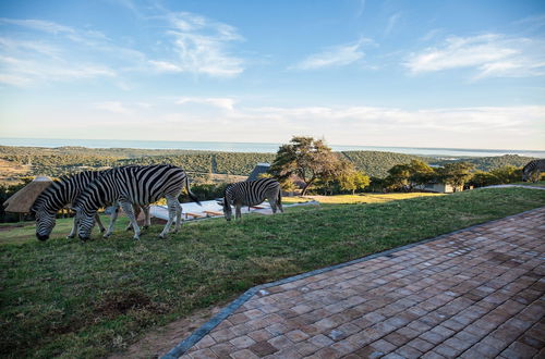 Photo 76 - JBay Zebra Lodge