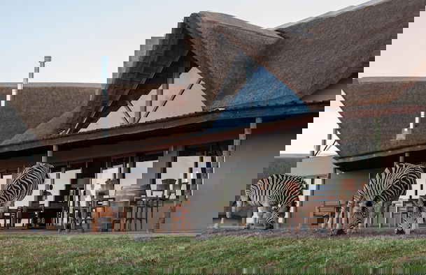 JBay Zebra Lodge - Foto 78