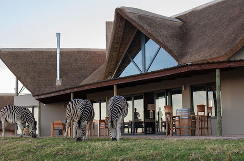 Photo 78 - JBay Zebra Lodge