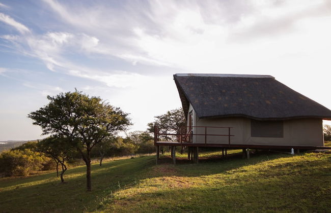 JBay Zebra Lodge - Foto 35