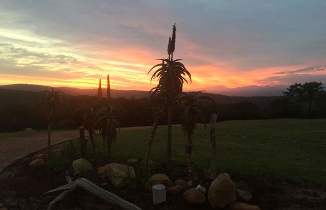 JBay Zebra Lodge - Foto 71