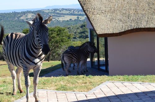 Foto 67 - JBay Zebra Lodge