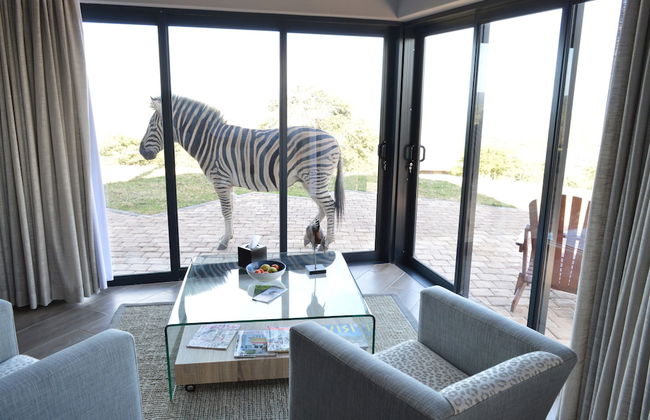 JBay Zebra Lodge - Foto 28
