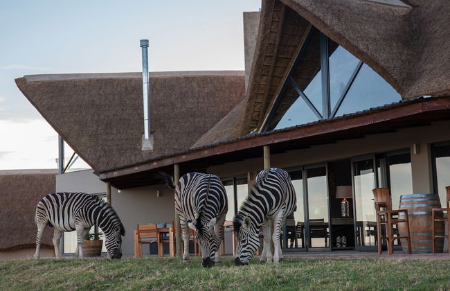 JBay Zebra Lodge - Foto 79