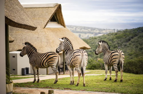 Foto 30 - JBay Zebra Lodge