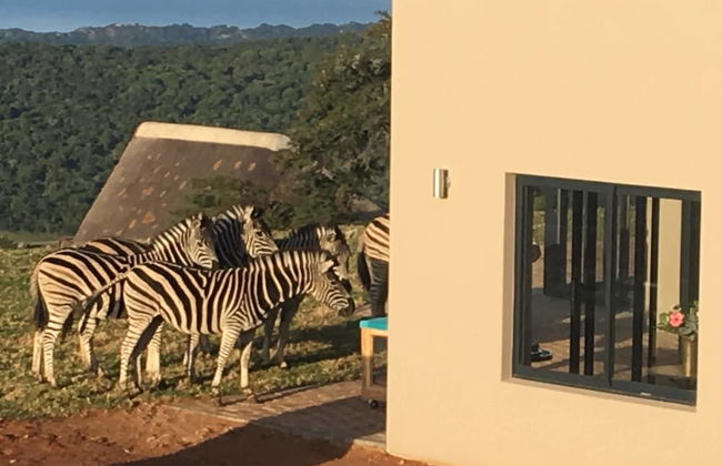 JBay Zebra Lodge - Foto 70