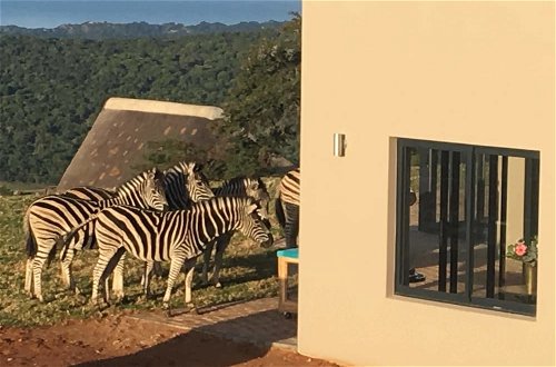 Foto 70 - JBay Zebra Lodge