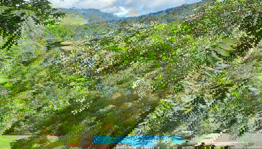 Imagem principal