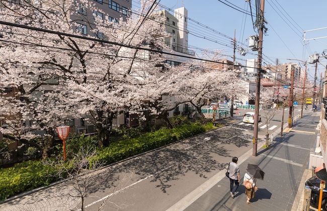 Kyoto Riverview House Kyou-raku - Foto 45