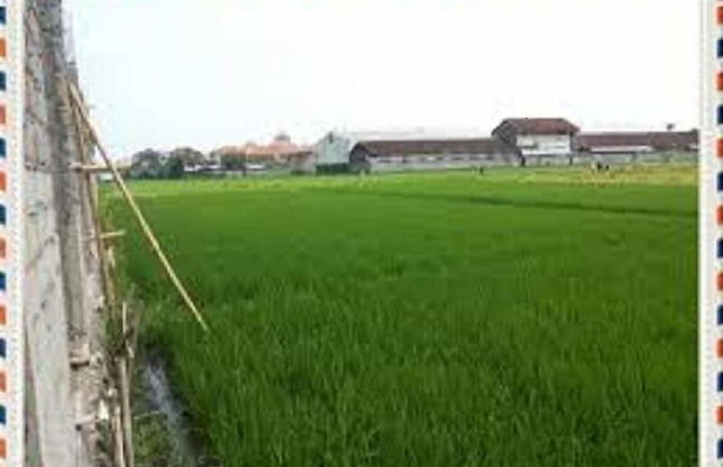 Villa D'Kerobokan - Foto 13