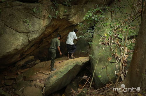 Photo 31 - Moon hill munnar