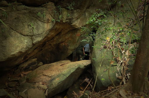 Photo 28 - Moon hill munnar