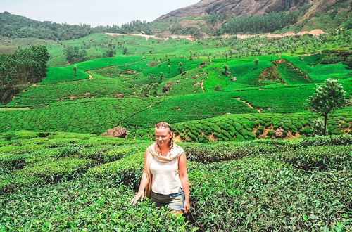 Foto 64 - Moon hill munnar