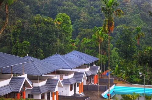 Photo 70 - Moon hill munnar