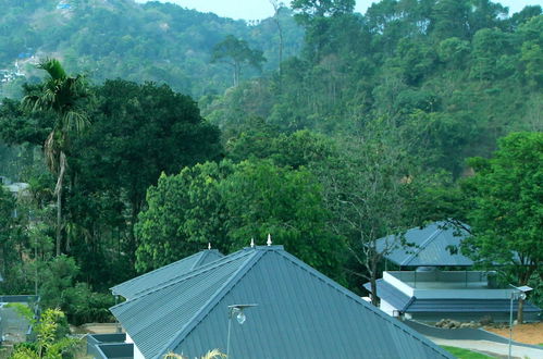 Photo 79 - Moon hill munnar