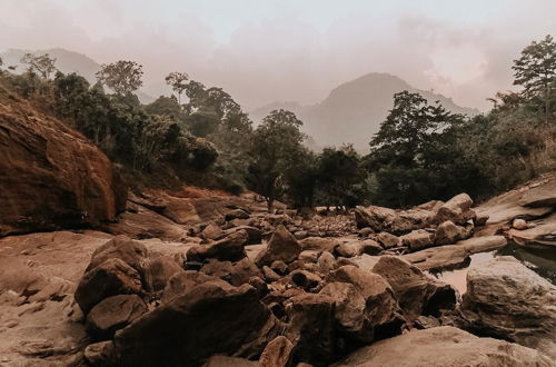 Photo 69 - Moon hill munnar