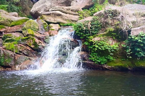 Photo 21 - Moon hill munnar