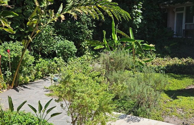 Novo Hotel & Suite - Photo 16