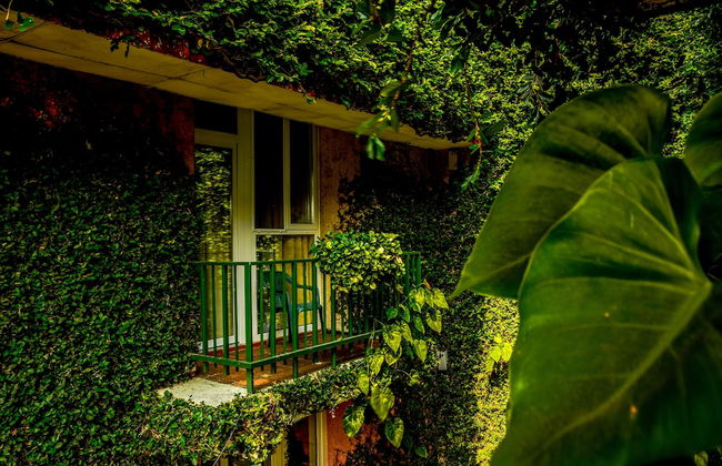 Novo Hotel & Suite - Photo 17